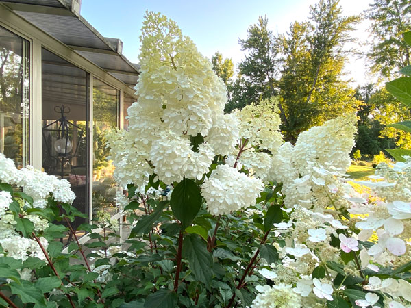 /online/TheHummData/listing media/CFUW-Perth-Home-Garden-tour.jpg